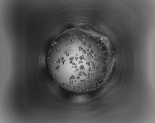 X0000099930267200805301204