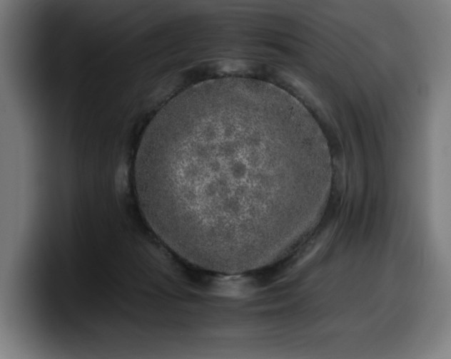 X0000099930269200805301204