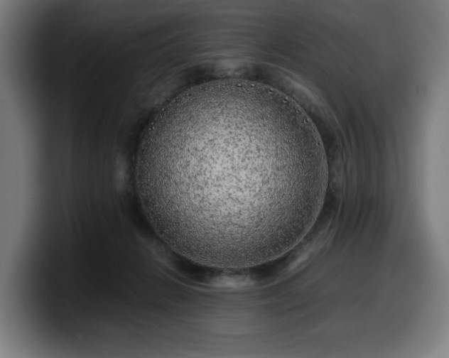 X0000099930270200805301204