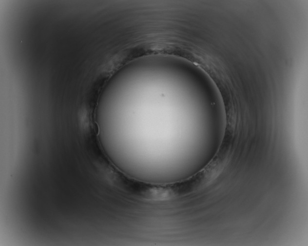 X0000099930272200805301204