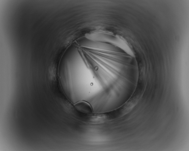 X0000099930274200805301204