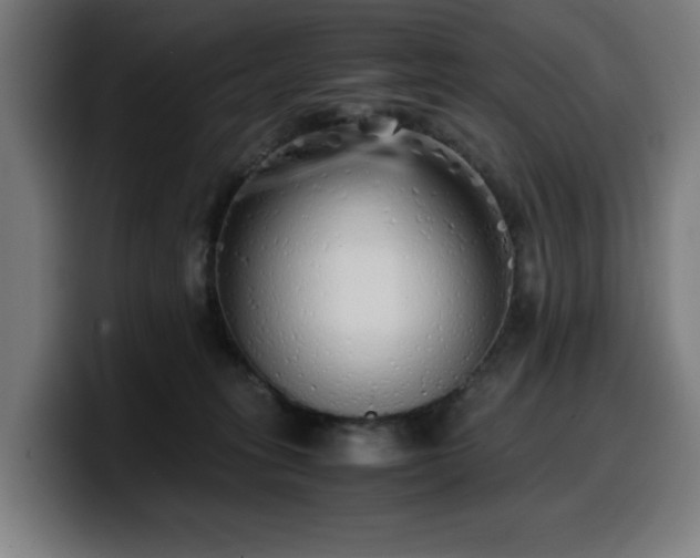 X0000099930275200805301204