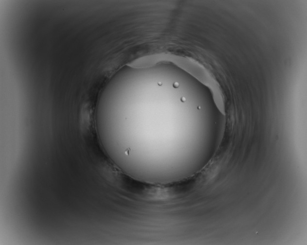 X0000099930276200805301204