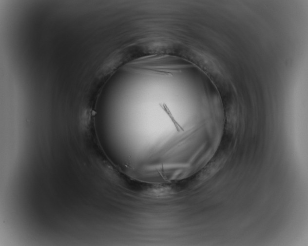 X0000099930278200805301204