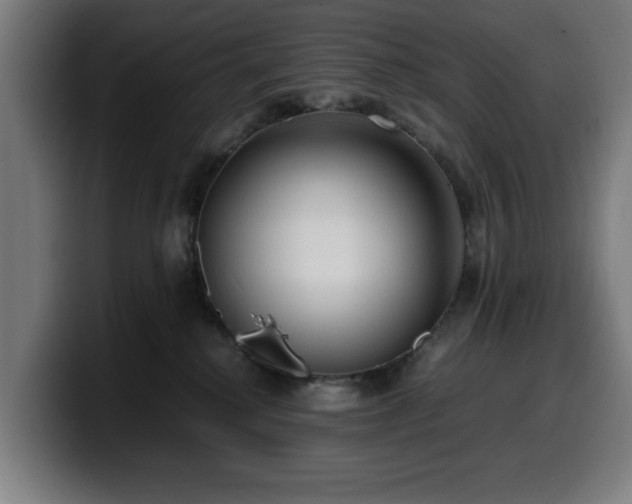 X0000099930280200805301204