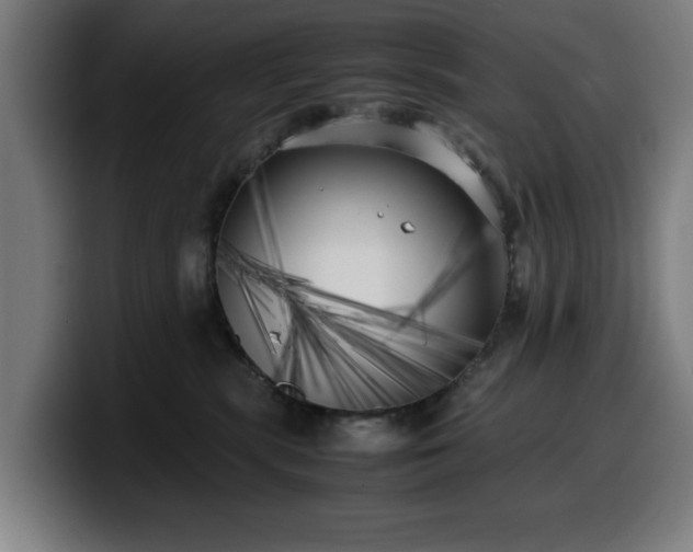 X0000099930283200805301204
