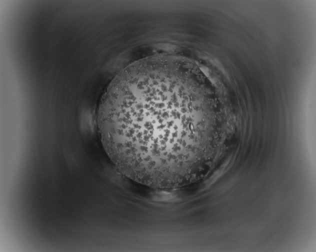 X0000099930285200805301204