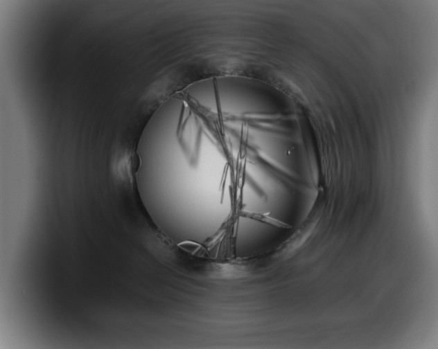 X0000099930286200805301204