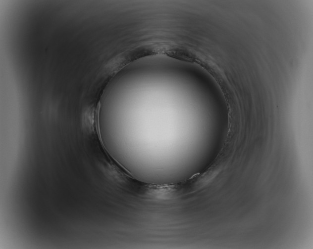 X0000099930288200805301204