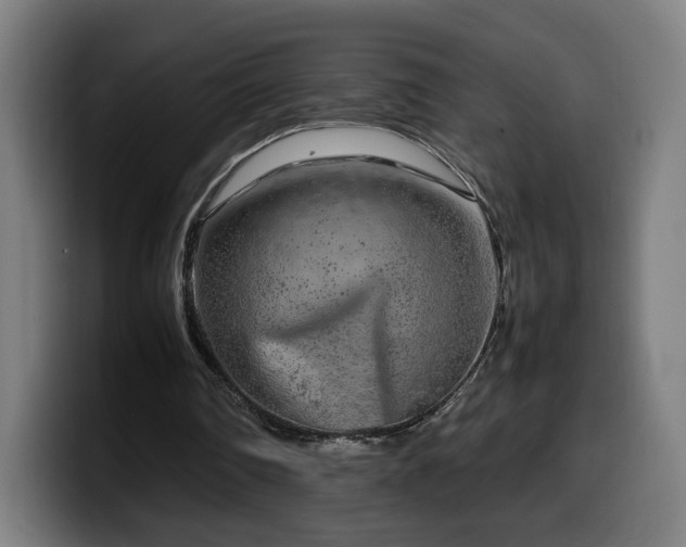 X0000099930290200805301203