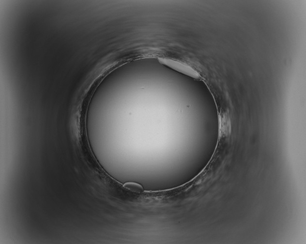 X0000099930291200805301203