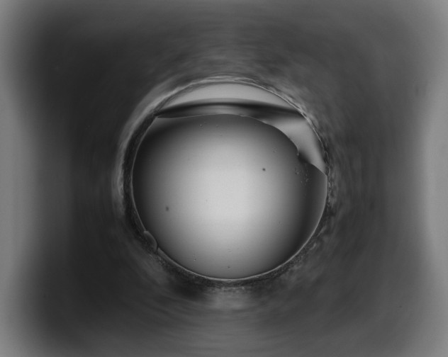 X0000099930296200805301203