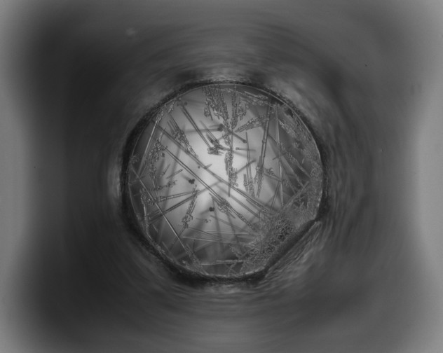 X0000099930299200805301203