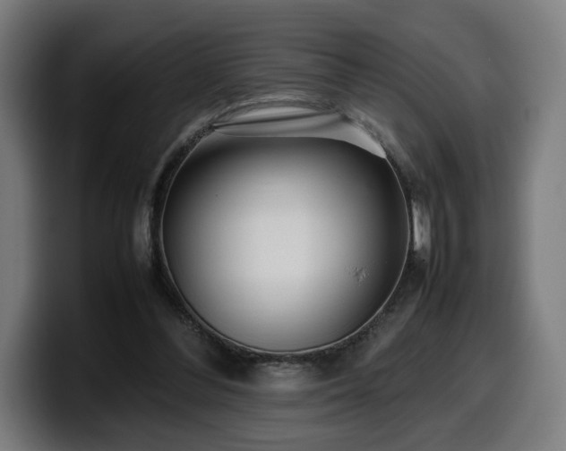 X0000099930300200805301203