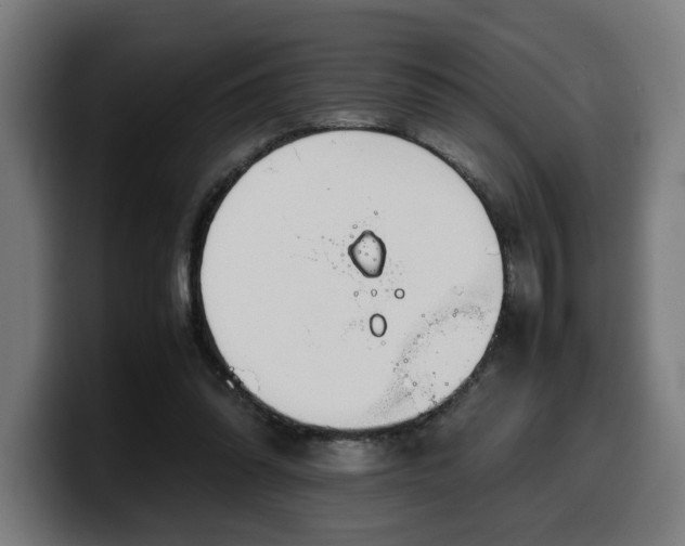 X0000099930302200805301203