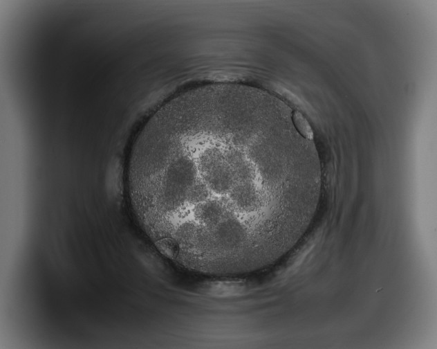 X0000099930303200805301203