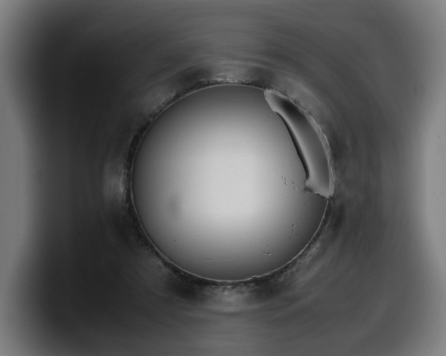 X0000099930305200805301203