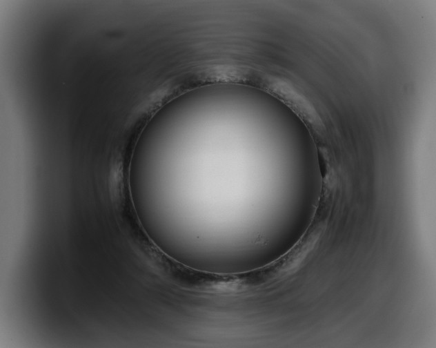 X0000099930306200805301203