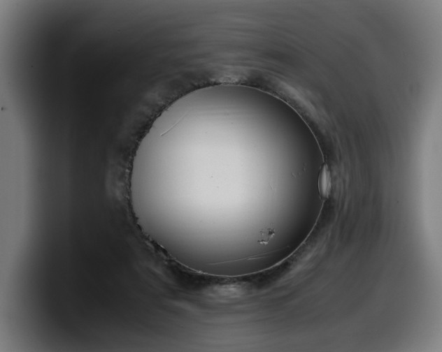 X0000099930307200805301203