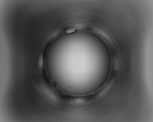 X0000099930310200805301203