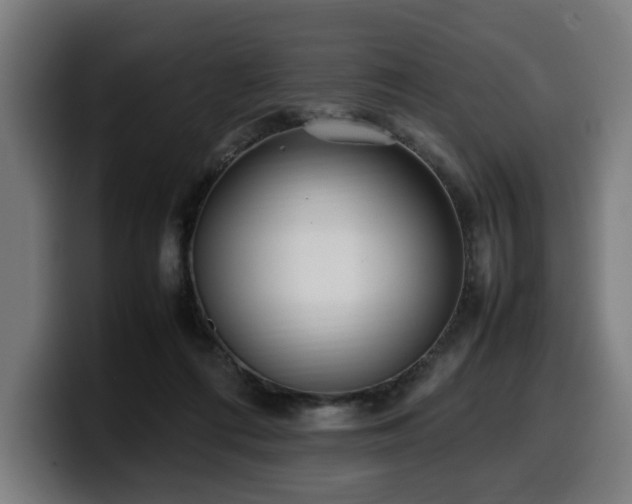 X0000099930312200805301203