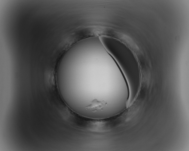 X0000099930313200805301203