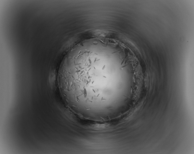 X0000099930314200805301203