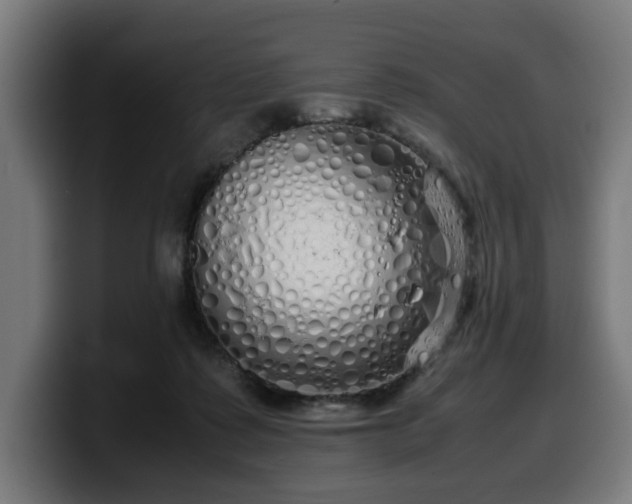 X0000099930315200805301203