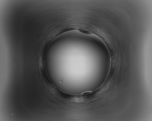 X0000099930317200805301203