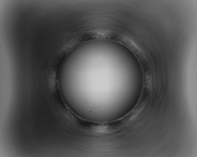 X0000099930318200805301203