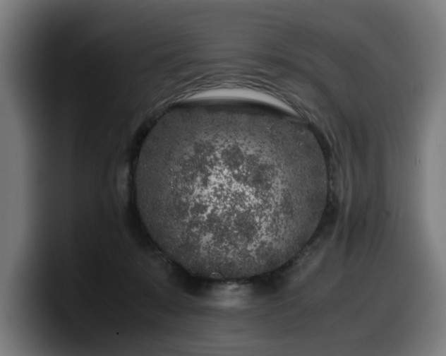 X0000099930319200805301203