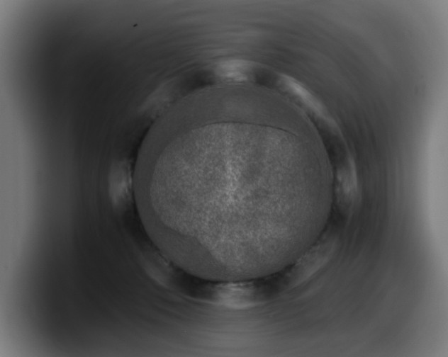 X0000099930320200805301203