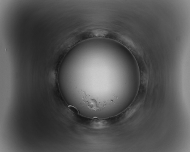 X0000099930321200805301203