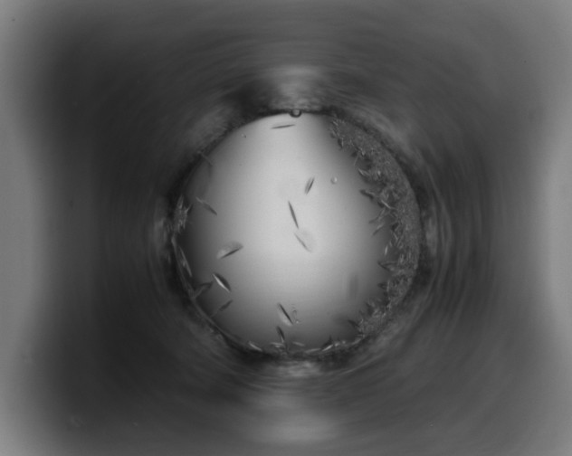 X0000099930322200805301203