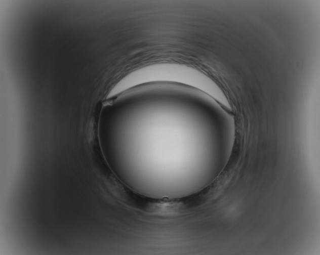 X0000099930323200805301203