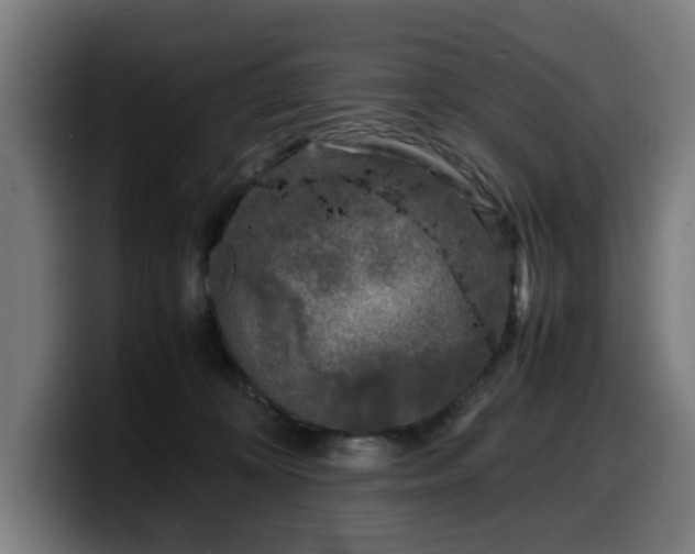 X0000099930324200805301203