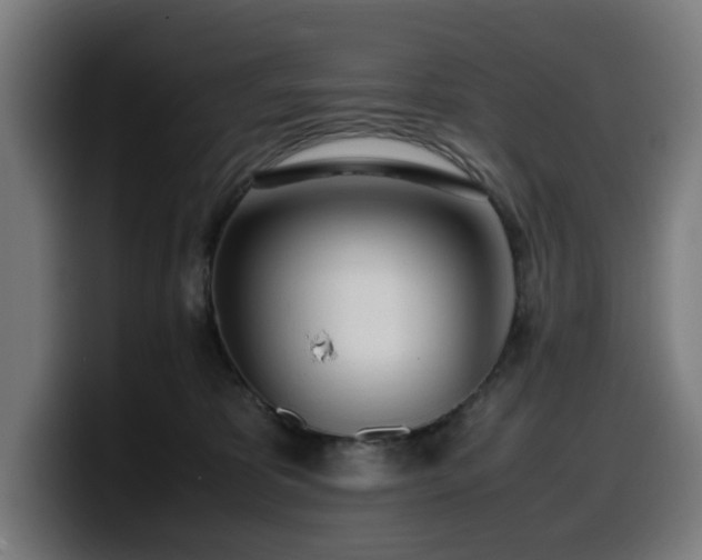 X0000099930325200805301203