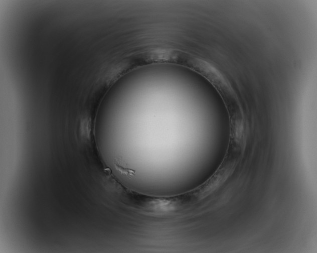 X0000099930326200805301203