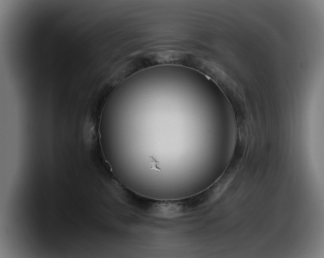 X0000099930327200805301203