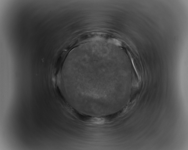 X0000099930328200805301203