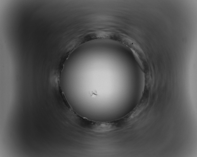 X0000099930329200805301203