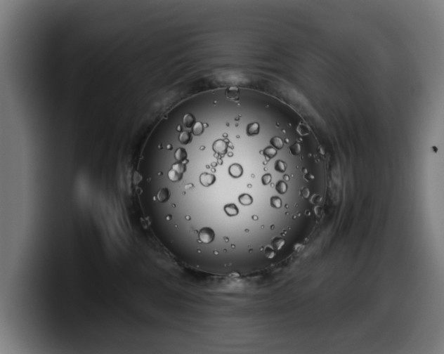 X0000099930330200805301203