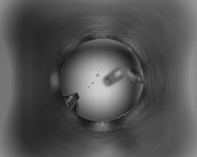 X0000099930335200805301203