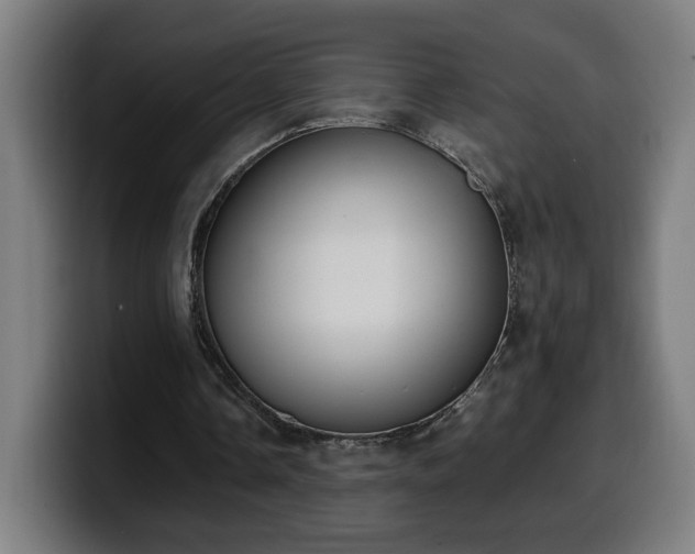 X0000099930338200805301202