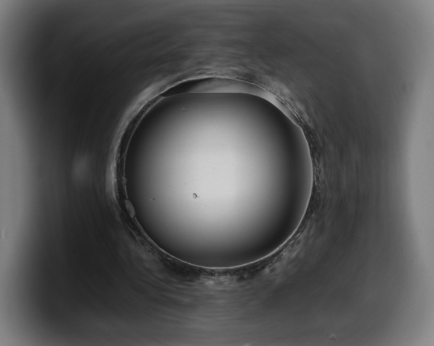 X0000099930340200805301202