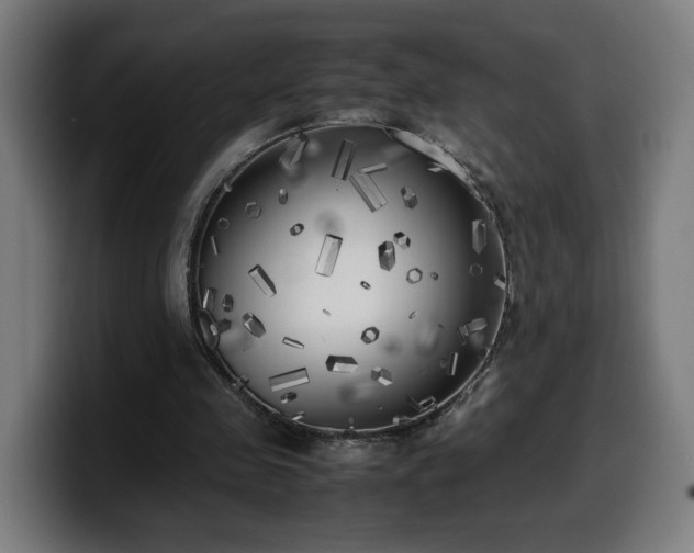 X0000099930341200805301202