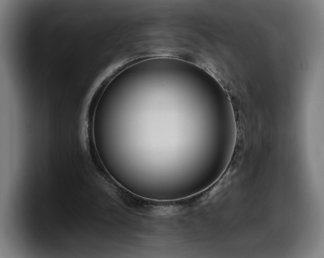 X0000099930342200805301202