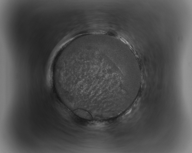 X0000099930343200805301202