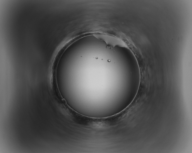 X0000099930344200805301202