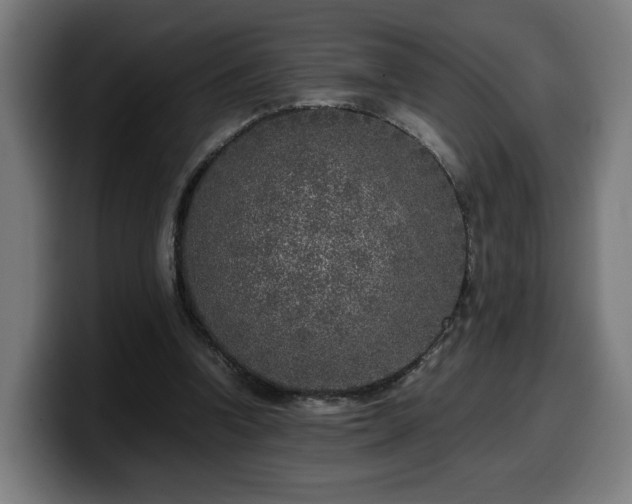 X0000099930346200805301202